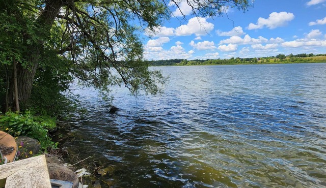 Family Cottage Retreat on Rice Lake (Sleeps 7 & 2 Bathrooms)