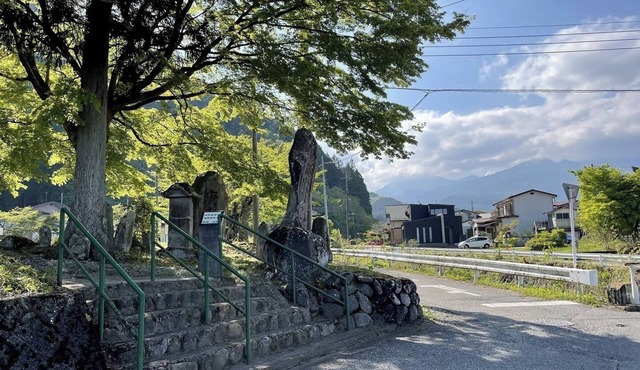 Flower Ring/Nikko Tochigi