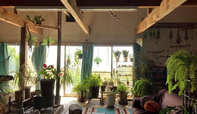 Galaxy Guest House