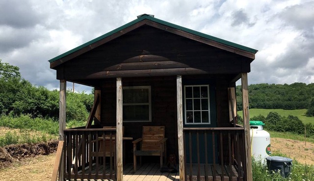 Galeton, Pennsylvania Glamping Cabin, Ideal for a Family Nature Escape
