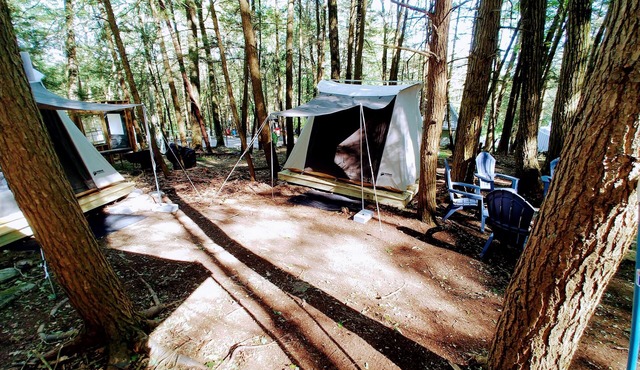 Glamping, family fun, pet friendly