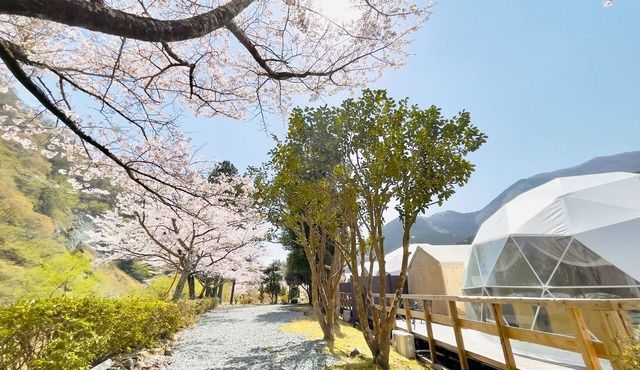 Glamping RiversidePets allowed with toilet and openair bath Room only plan/Ashigarakamigun Kanagawa
