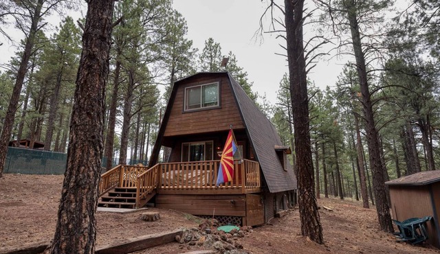 Grand Gateway Cabin | 1-Acre Pine Retreat, Rt. 66