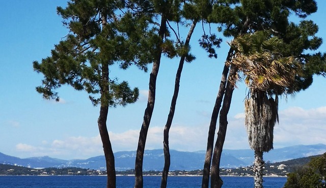 Ground floor of villa with panoramic view of the Gulf of Ajaccio