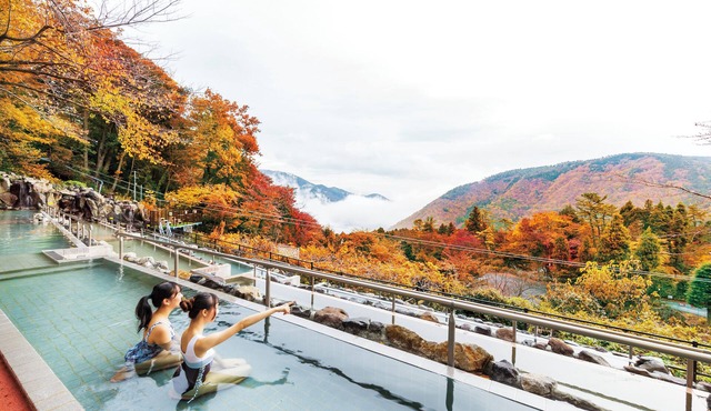 Hakone Kowakien