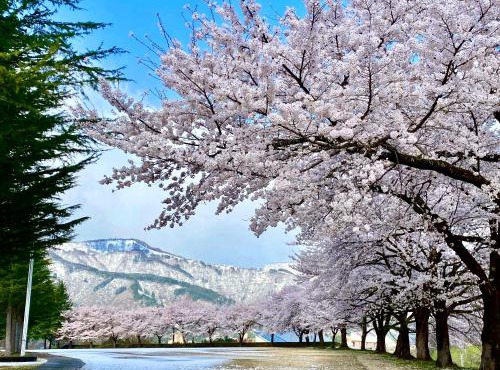 HAYU Hearth Yuzawa