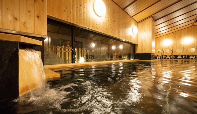 Hida Hotel Plaza