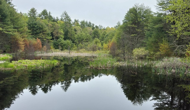 Hidden Modern Retreat - Cozy house in marvelous Narrowsburg with WiFi & AC