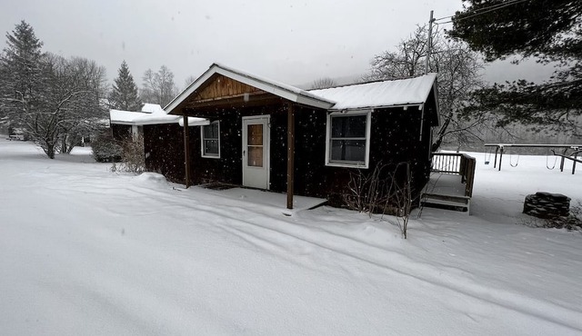 Homey Pet-Friendly Cabin Rental for Groups in the Catskills