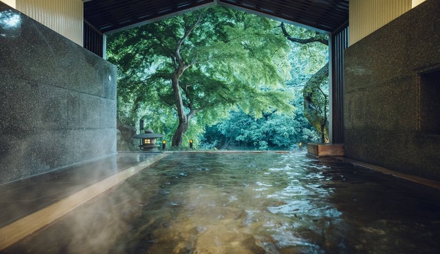 Hoshino Resorts KAI Hakone