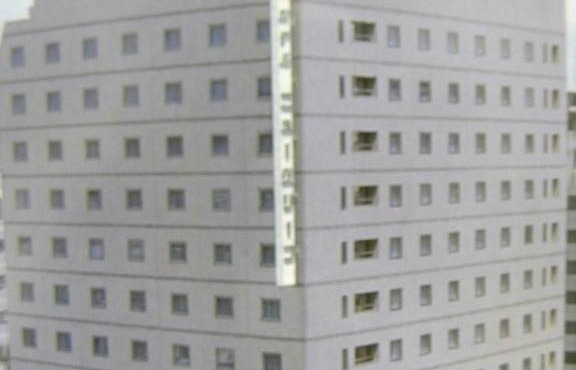 Hotel New Green Okachimachi