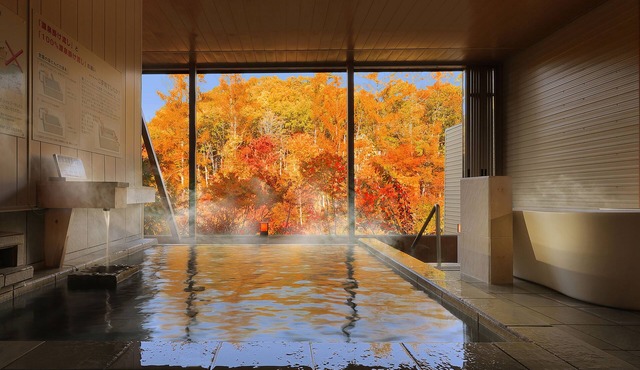Hotel Ryu Resort and Spa