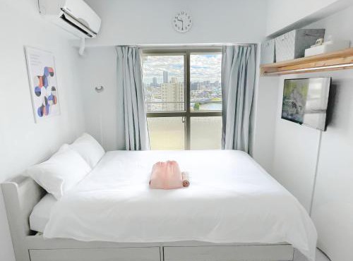Kameari 1110 Newly Renovated High Floor City View 2min to Mall 5min to Station Disney Access