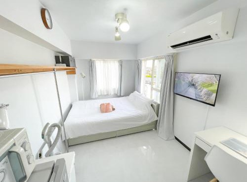 Kameari 1111 Newly Renovated High Floor City View 2min to Mall 5min to Station Disney Access