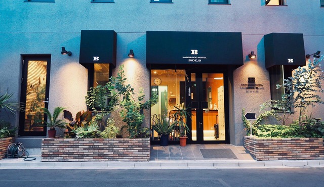 Kangaroo Hotel SIDE B