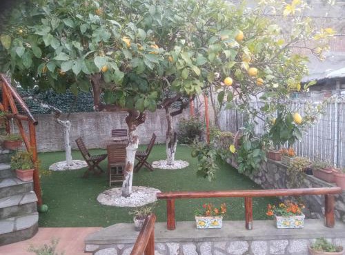 LA Giulia in Capri