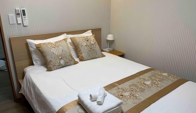 Luxurious and Comfortable/Ikebukuro/Wi - Fi (Room 101)