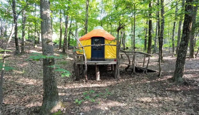 Magic Forest Farm Yurt