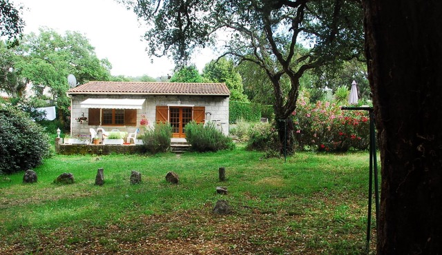 Melissa typical Corsican sheepfold in a quiet forest of cork oaks