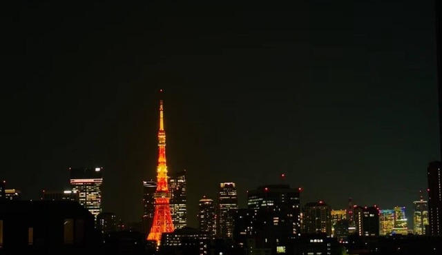 Minato-ku, Tokyo sightseeing, direct access to airport, 2K, Tokyo Tower view room