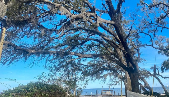 Minutes from beach with Bay view, pier, fenced yard & dog friendly!