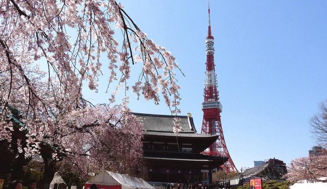 Mochida's Guest House