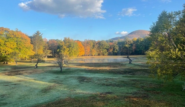 Most Charming, Most quiet place in the Catskills-Willow-brook Cottage