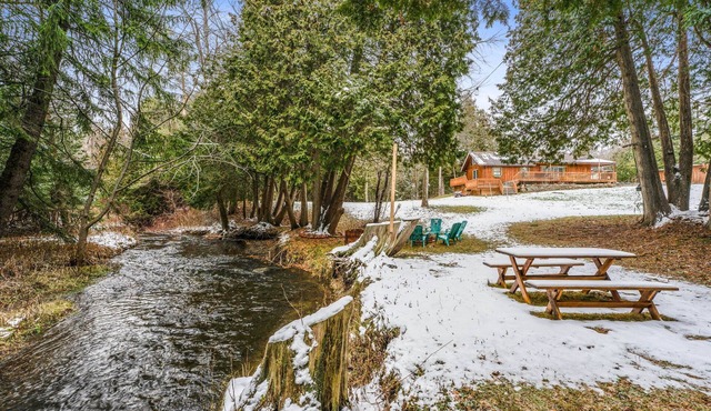 Nature Retreat: Serene water stream, BBQ, Firepit