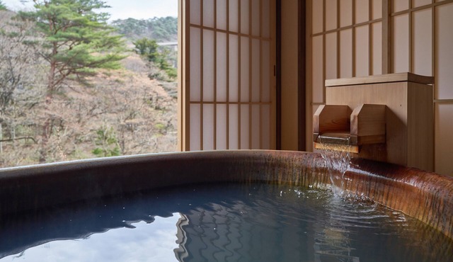 Nikko Garden Hotel