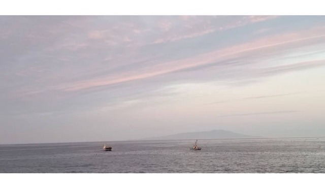 Ocean view spreading in front of you A starry s/Kamo-gun Shizuoka