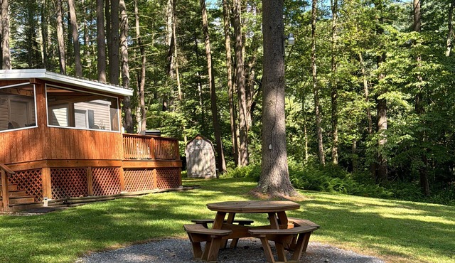 Peaceful Pines Where nature meets casual comfortnn