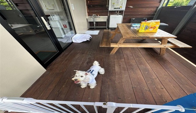 Pets allowed Stay with your dog Cottage with wo/Ishigaki Okinawa