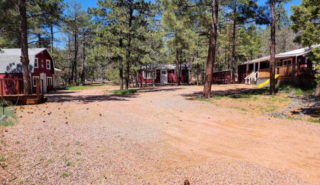 Pineview Family Getaway w/Zip Line, Game Barn, Firepit & More!