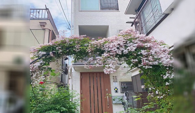 Private villa, 4 rooms available for 10 people!Close to Akihabara Asakusa Disney