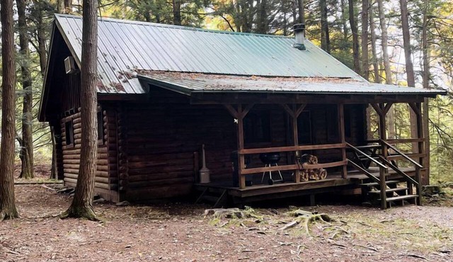 Quaint Cabin Rental in Pennsylvania for Cozy Family Getaways to Cook Forest