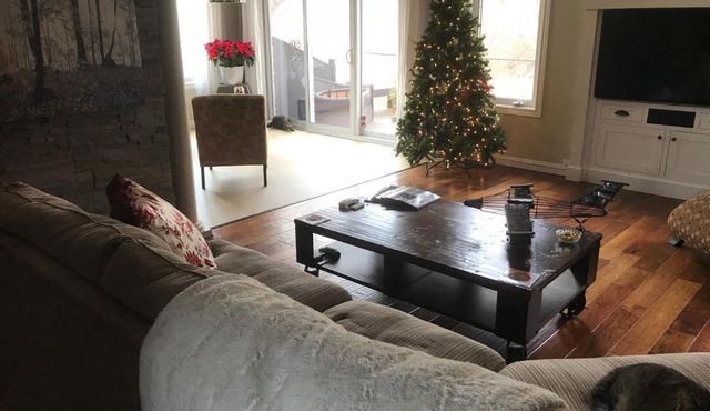 Quiet Cozy Luxury on the Thames in Ontario!