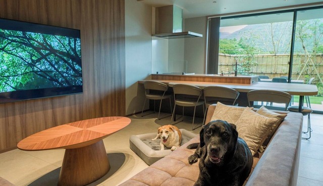 Rakuten STAY TERRACE Hakone Kowakudani D 2 beds raised platform dog friendly/Ashigarashimo-gun Kanagawa