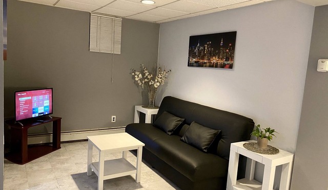 RedChillies🌶 Spacious one barroom apartment