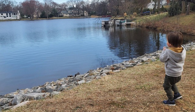 Renovation mandatory for Lake House in Bergen County