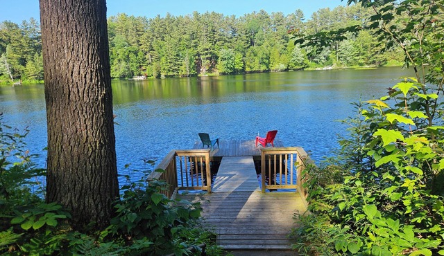 Riverview Cottage With A Beautiful Riverview