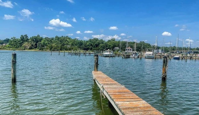 Rustic Waterfront 5BD Home with 9 Boat Slips!