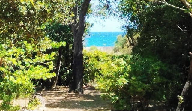 Seaside property Porto Vecchio region