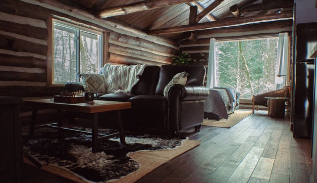 Seclude in a Romantic Cabin in an 850 acre Private Forest.