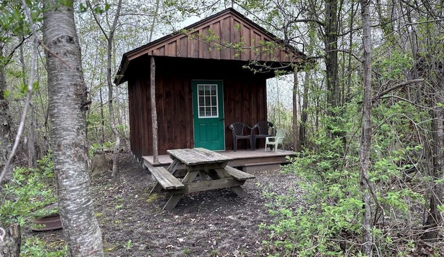 Secluded Cabin Escape with Fire Pit & Relaxing Outdoor Space in Macedon, NY