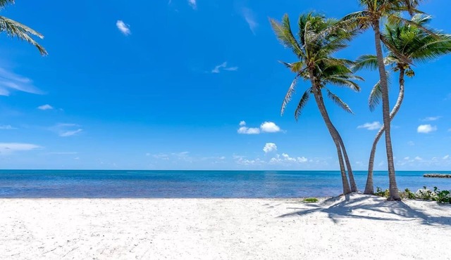 Sensational Ocean Front Villa Kayak+PBs+Cinema+Fire Pit+Pool License # 24-4115