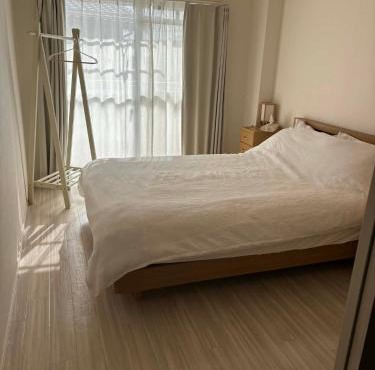 Shimaville Japan, El Corpo