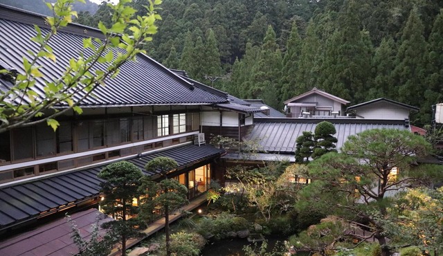Shukubo Kakurinbo