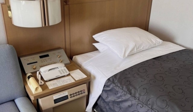 Single B Nonsmoking room No meals included Di/Hanno Saitama