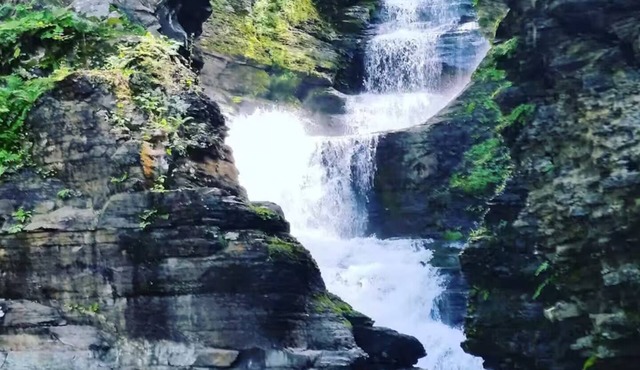 Sparrow Farm Cottage & Majestic Waterfall