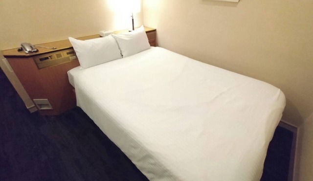 Standard Room only Double B Nonsmoking/Taito-ku Tokyo